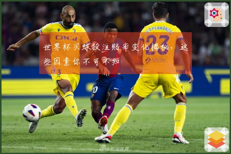 世界杯买球投注赔率变化揭秘，这些因素你不可不知