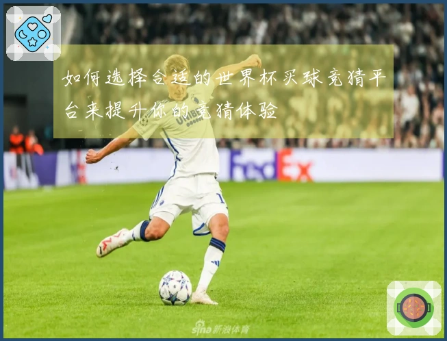 如何选择合适的世界杯买球竞猜平台来提升你的竞猜体验