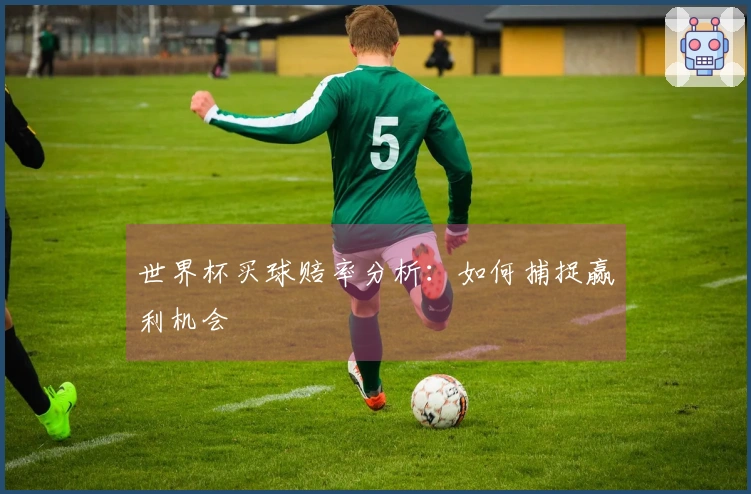 世界杯买球赔率分析：如何捕捉赢利机会
