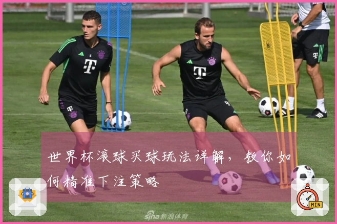 世界杯滚球买球玩法详解，教你如何精准下注策略